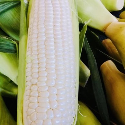 ข้าวโพดนมสดเพียวไวท์ฮอกไกโด 