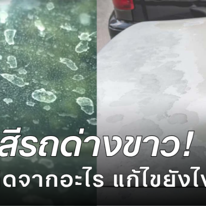 สีรถด่างขาว เกิดจากอะไร แก้ไขยังไง