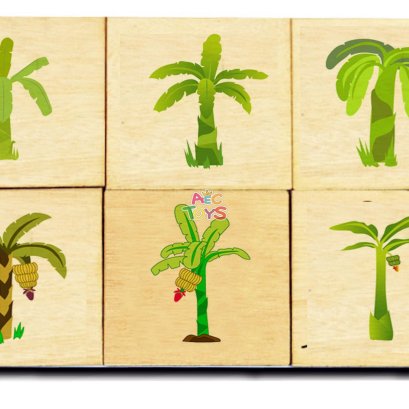 แผ่นภาพไม้เรียงลำดับการเจริญเติบโต ของต้นกล้วย