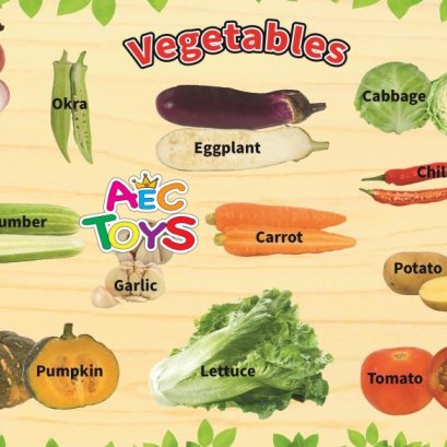 ภาพฉลุบล็อกนูน ภาพจริง ผัก 11 ชนิด พร้อมคำศัพท์  