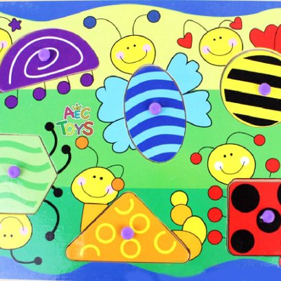 ภาพตัดต่อมีจุก แมลง 6 ชนิด