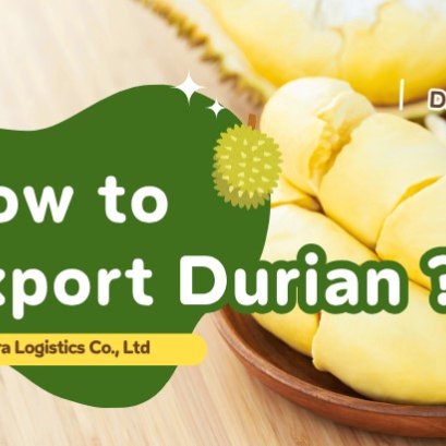 How to Export Durian?