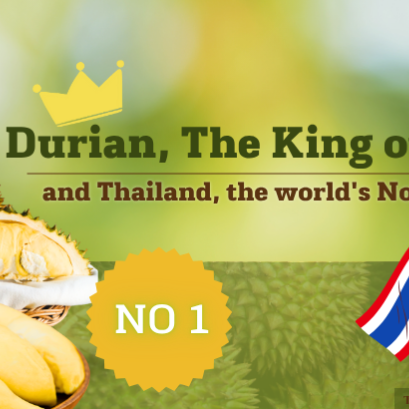 Durian, The King of fruit. and Thailand, the world's No.1 exporter