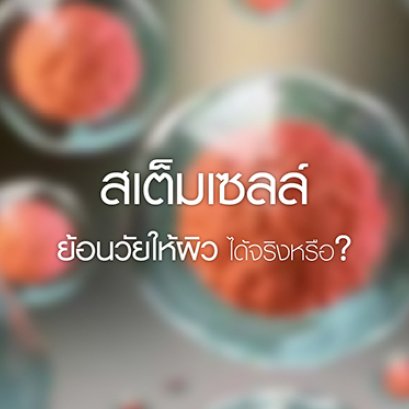 สเต็มเซลล์ ย้อนวัยให้ผิวได้หรือไม่?