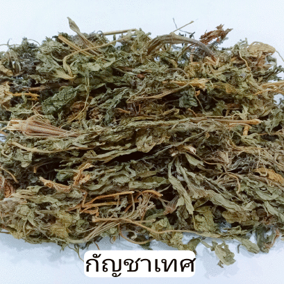 กัญชาเทศ