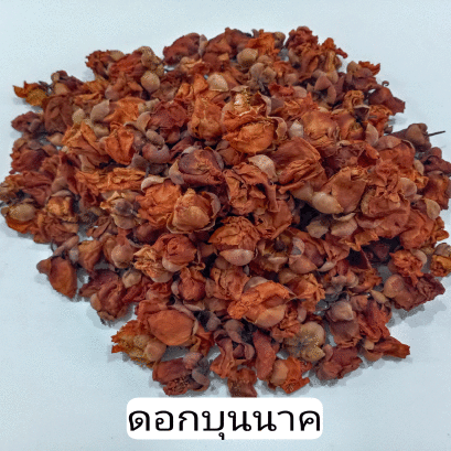 ดอกบุญนาค