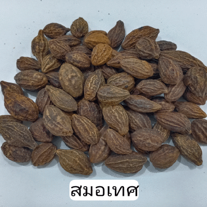 Terminalia arjuna Wight and Arn