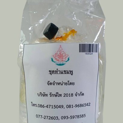 Hair shampoo set