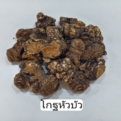 โกฐหัวบัว