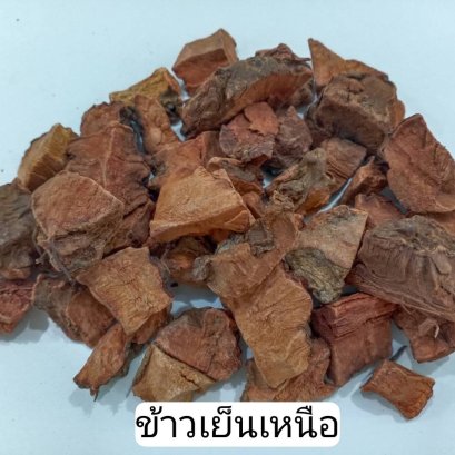 Smilax Corbularia Kunth