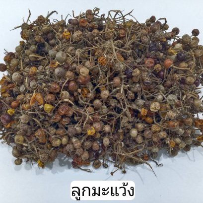 ลูกมะแว้ง