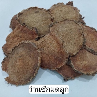 ว่านชักมดลูก