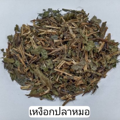 เหงือกปลาหมอ