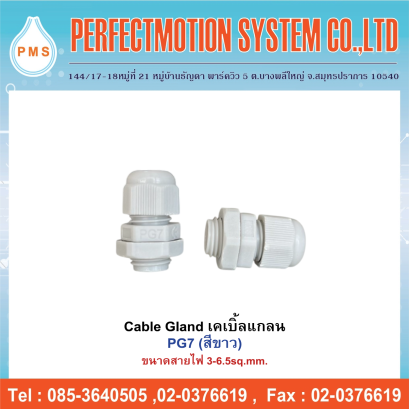 Cable Gland PG เคเบิ้ลแกลน (สีขาว)