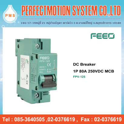 DC Breaker 1P 80A 250VDC MCB (FPV-125)
