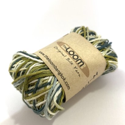 ไมโครโมดาล-เอ็ม เรนซีรีส์ #307