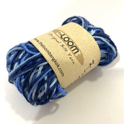 ไมโครโมดาล-เอ็ม เรนซีรีส์ #309