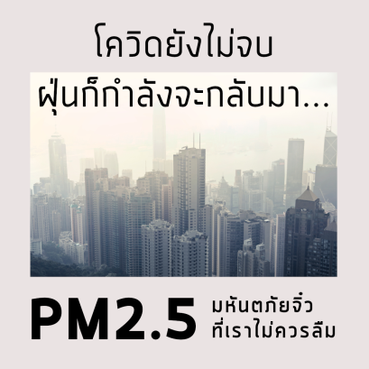 เมืองในหมอกฝุ่น