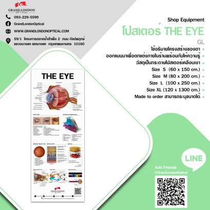 โปสเตอร์ The Eye Anatomy