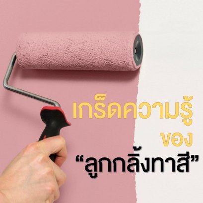 เกร็ดความรู้ของลูกกลิ้งทาสี