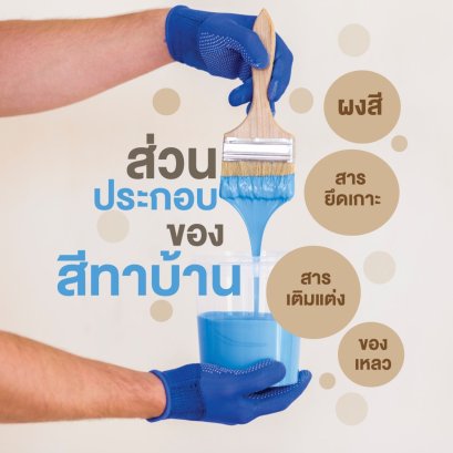 ส่วนประกอบของสีทาบ้าน​
