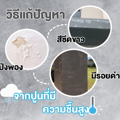 วิธีแก้ปัญหา สีซีดขาว โป่งพอง มีรอยด่าง จากปูนที่มีความชื้นสูง