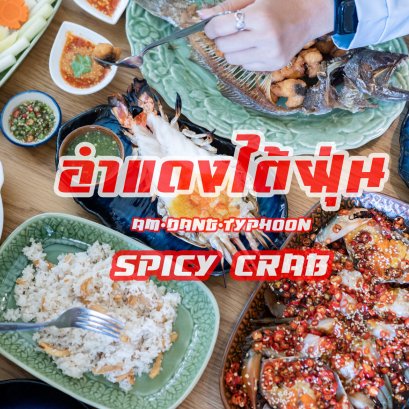 อำแดงไต้ฝุ่น ร้านเด็ด ร้านดัง ต้นตำรับอาหารไทยจีน ปูทะเลกุ้งแม่น้ำยักษ์ที่พลาดไม่ได้