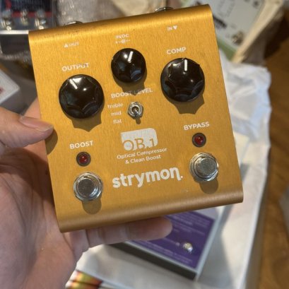 Strymon OB1