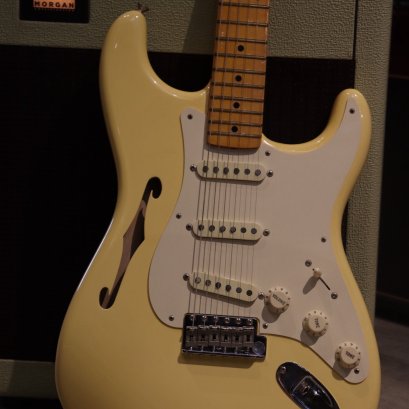 Fender Eric Johnson Signature Stratocaster Thinline 2018 (3.0kg)