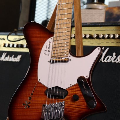 Strandberg Sälen Deluxe NX6 Vintage Burst 2022 (2.2kg)