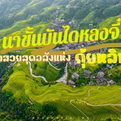 นาขั้นบันไดหลงจี๋ วิวสวยสุดอลังแห่งกุ้ยหลิน