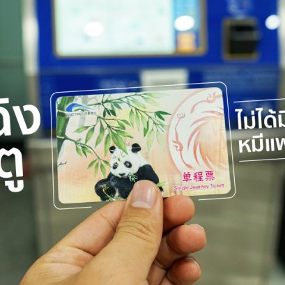 เฉิงตู l Chengdu l 成都市 เฉิงตูไม่ได้มีแค่แพนด้า