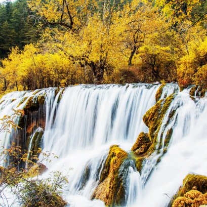 น้ำตกซู่เจิ้ง (树正瀑布)  Shuzheng Waterfall