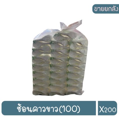 ช้อนคาวขาว(100).