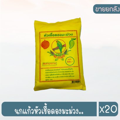 นกแก้วหัวเชื้อดองมะม่วง..