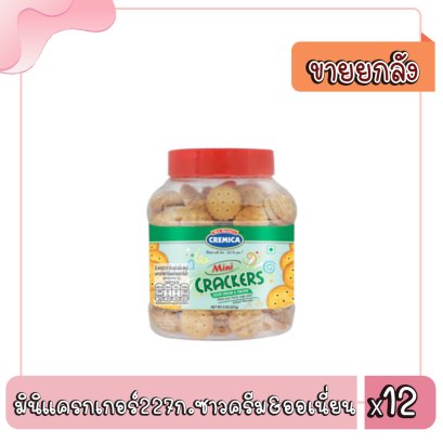 มินิแครกเกอร์227ก.ซาวครีม&amp;ออเนี่ยน