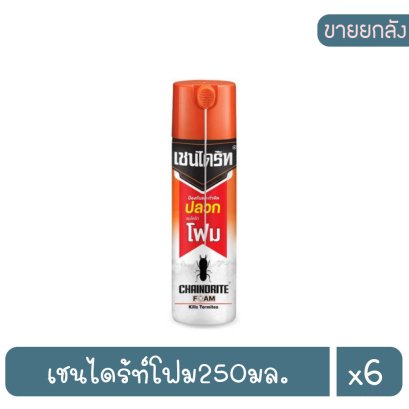 เชนไดร้ท์โฟม250มล.