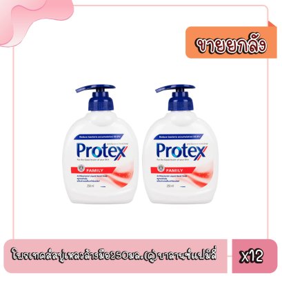 โพรเทคส์สบู่เหลวล้างมือ250มล.(คู่)บาลานซ์แฟมิลี่
