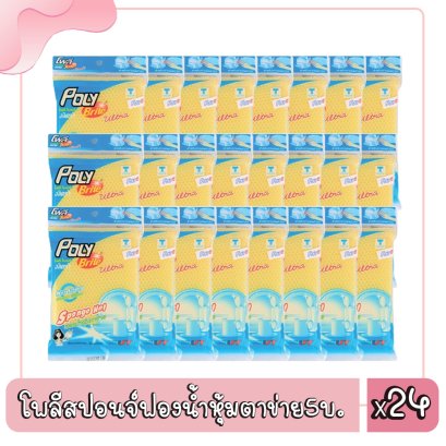 โพลีสปอนจ์ฟองน้ำหุ้มตาข่าย5บ.