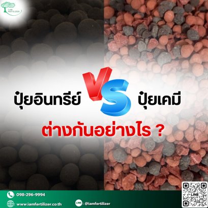 ปุ๋ยอินทรีย์ VS ปุ๋ยเคมี ต่างกันอย่างไร ?