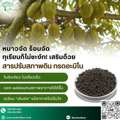 หนาวจัด ร้อนจัด ทุเรียนก็ไม่ชะงัก️ เสริมด้วย.....สารปรับสภาพดินกรดอะมิโน 