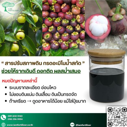  สารปรับสภาพดิน กรดอะมิโนน้ำสกัด 