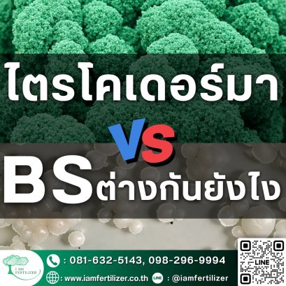 ไตรโคเดอร์มา VS BS ต่างกันยังไง