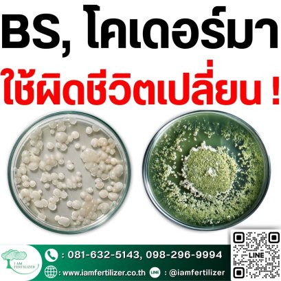 BS, ไตรโคเดอร์มา ใช้ผิดชีวิตเปลี่ยน ???