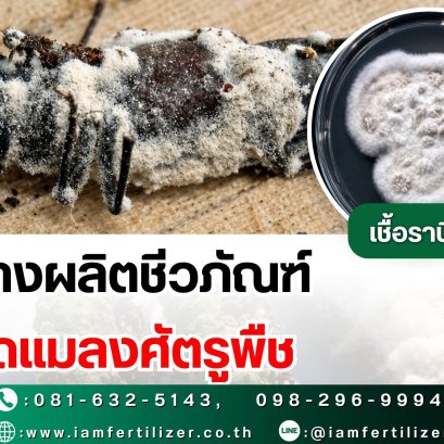 รับจ้างผลิตชีวภัณฑ์ กำจัดแมลงศัตรูพืช
