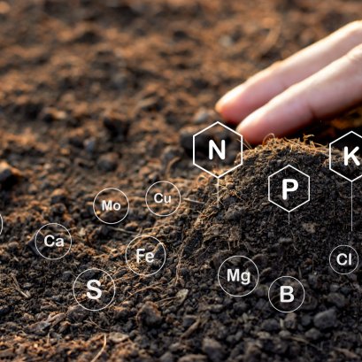ธาตุอาหารที่สำคัญต่อพืช