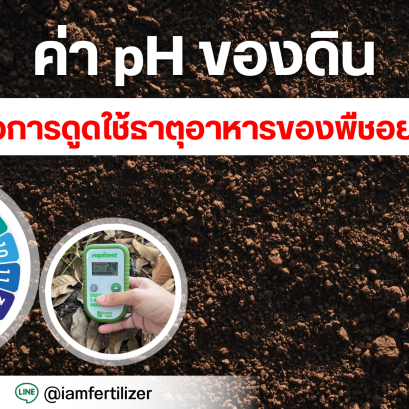ค่า pH ของดิน มีผลต่อการดูดใช้ธาตุอาหารของพืชอย่างไร?