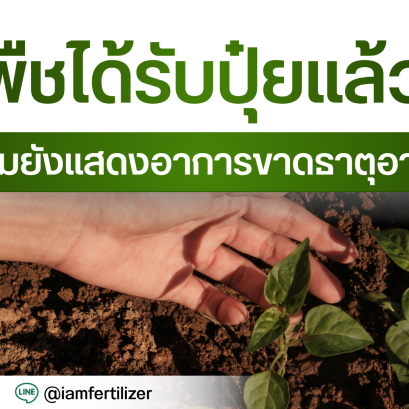 พืชได้รับปุ๋ยแล้ว แต่ทำไมยังแสดงอาการขาดธาตุอาหาร ?