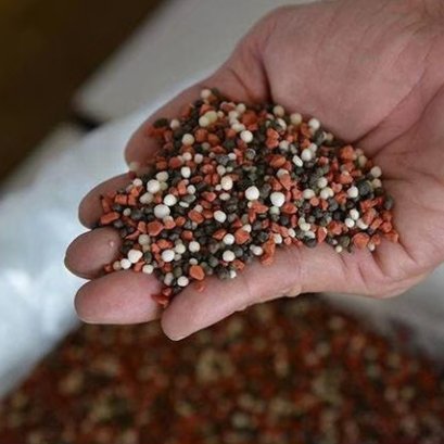 ปุ๋ยมีกี่ประเภท 