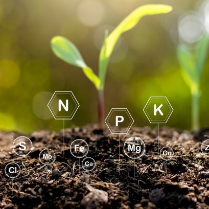 ธาตุอาหารที่พืชต้องการ